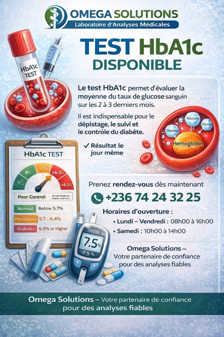 Flyer promotionnel OMEGA Solutions